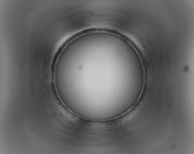 X0000092020927200709271546