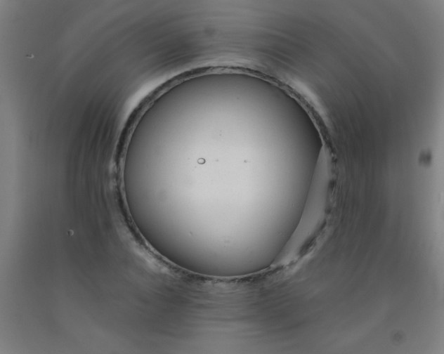 X0000092020928200709271546