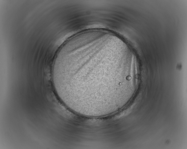 X0000092020929200709271546