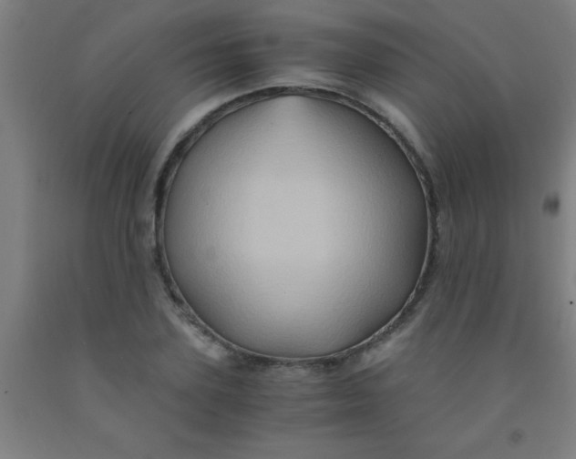 X0000092020931200709271546