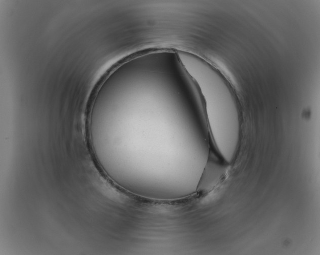 X0000092020932200709271546