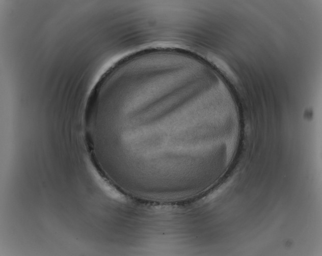 X0000092020934200709271546