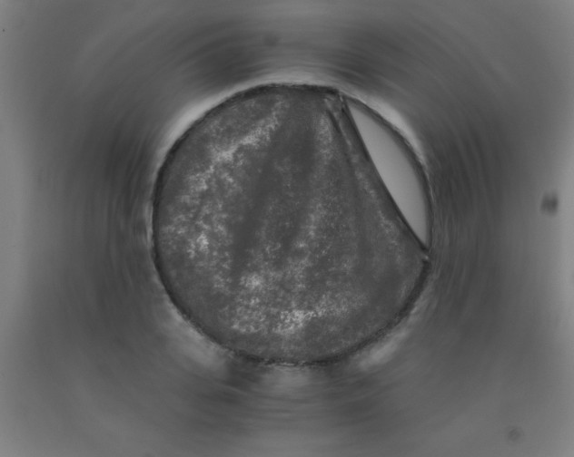 X0000092020935200709271546