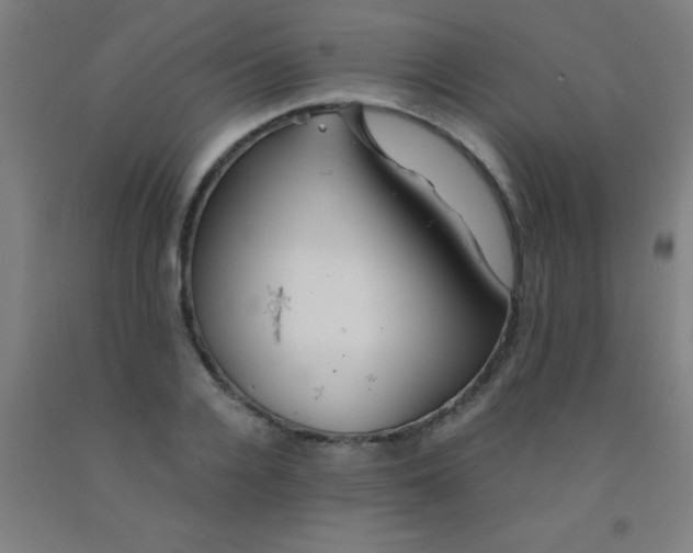 X0000092020936200709271546