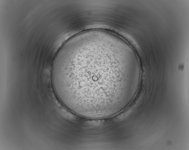 X0000092020937200709271546