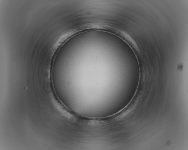 X0000092020938200709271546