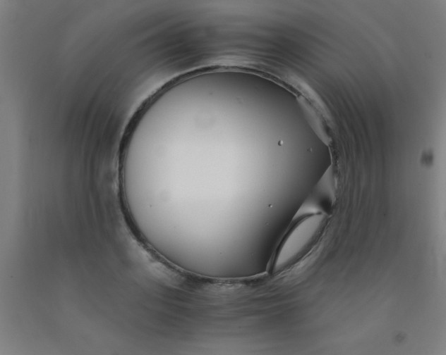 X0000092020939200709271546