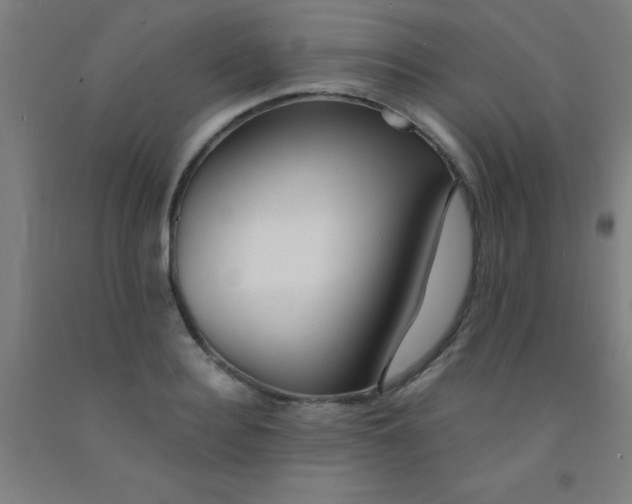 X0000092020940200709271546