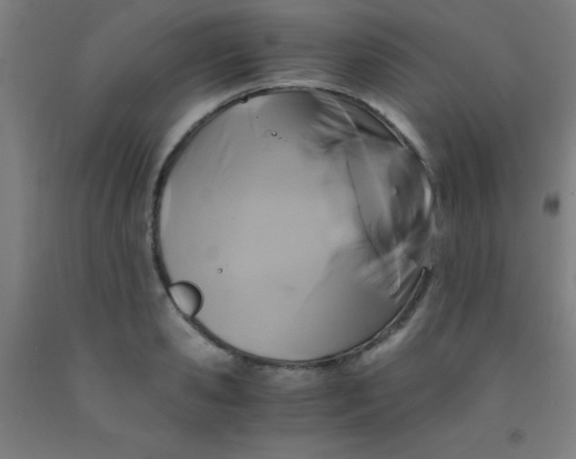 X0000092020941200709271546