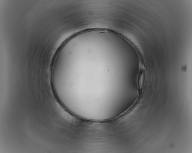 X0000092020942200709271546