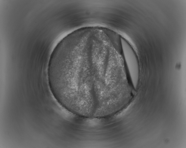 X0000092020943200709271546