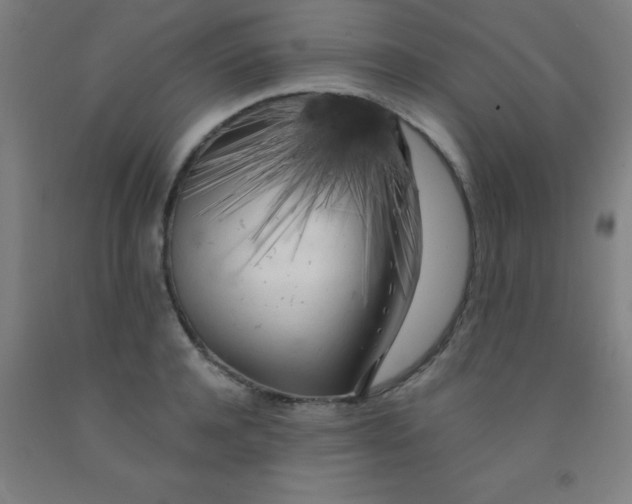 X0000092020944200709271546