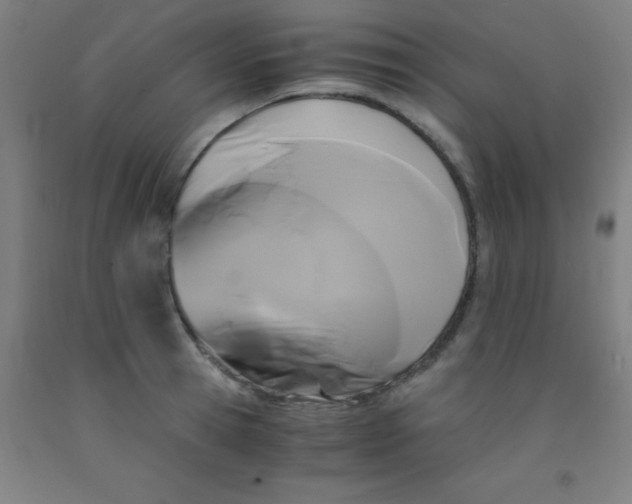 X0000092020945200709271546