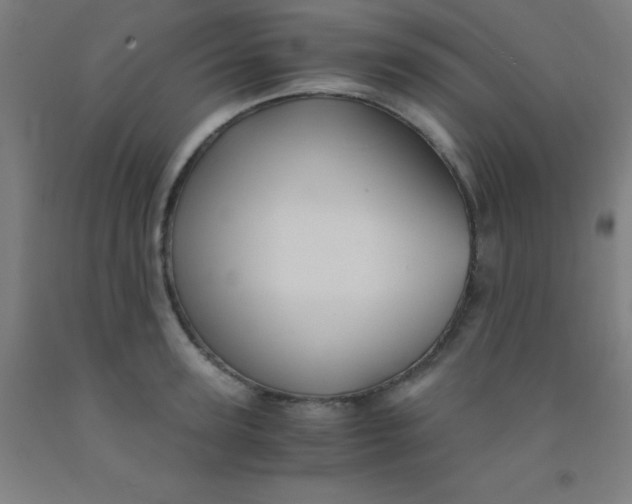 X0000092020947200709271546