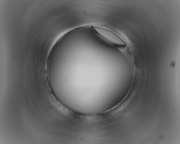 X0000092020948200709271546