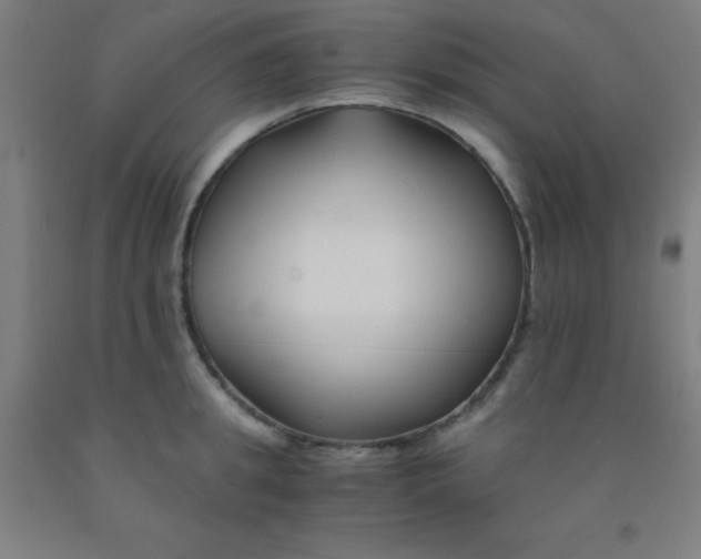 X0000092020949200709271546