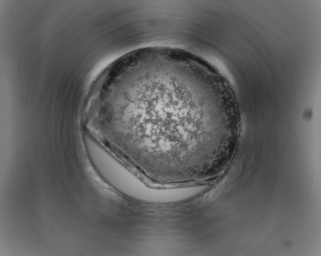 X0000092020952200709271546