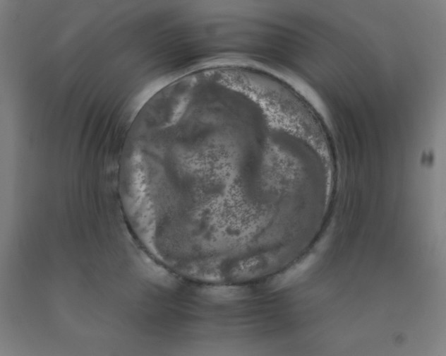 X0000092020953200709271546