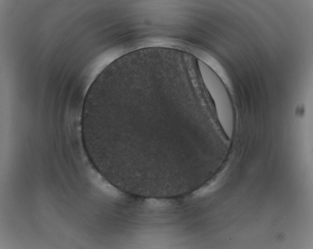 X0000092020954200709271546