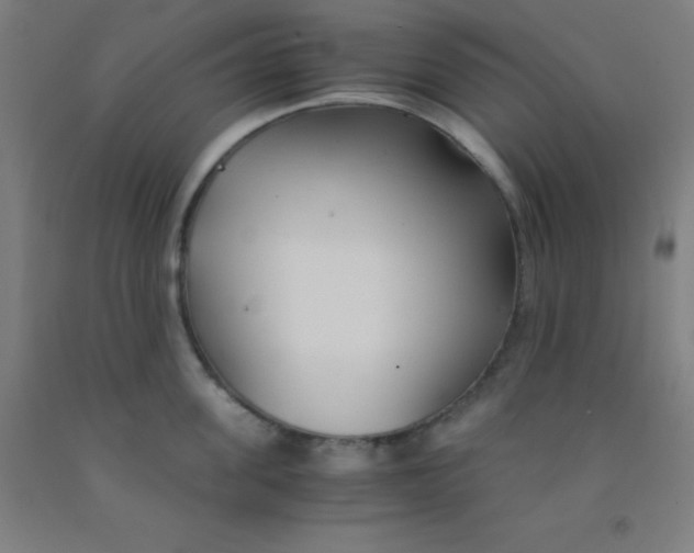 X0000092020955200709271546