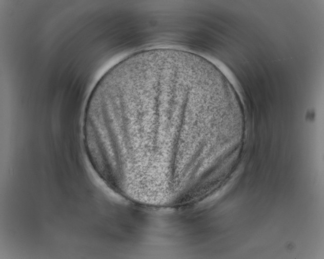 X0000092020957200709271546