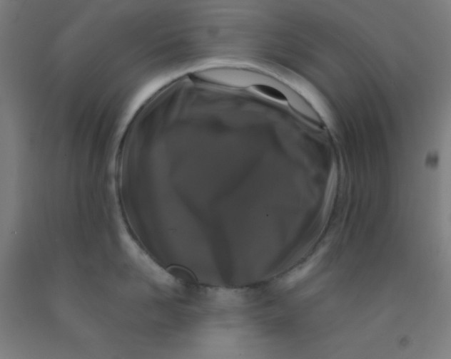 X0000092020958200709271546