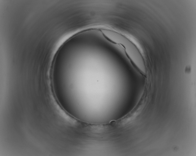 X0000092020959200709271546