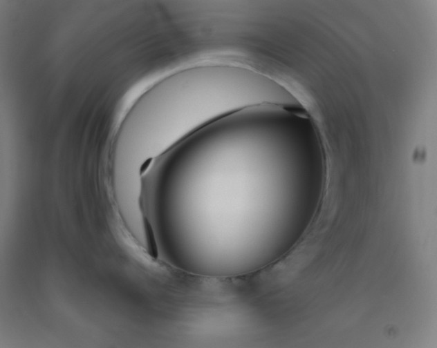 X0000092020960200709271546