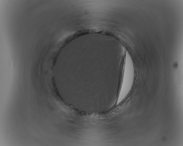 X0000092020961200709271546