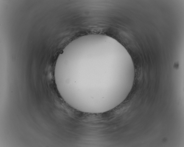 X0000092020962200709271546