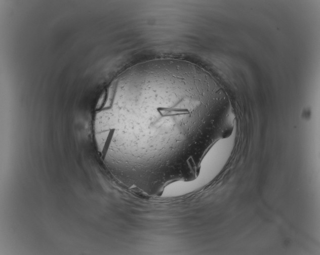 X0000092020963200709271546