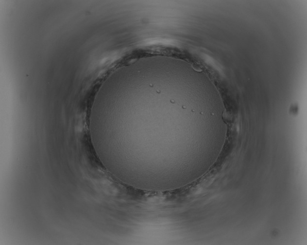 X0000092020965200709271546