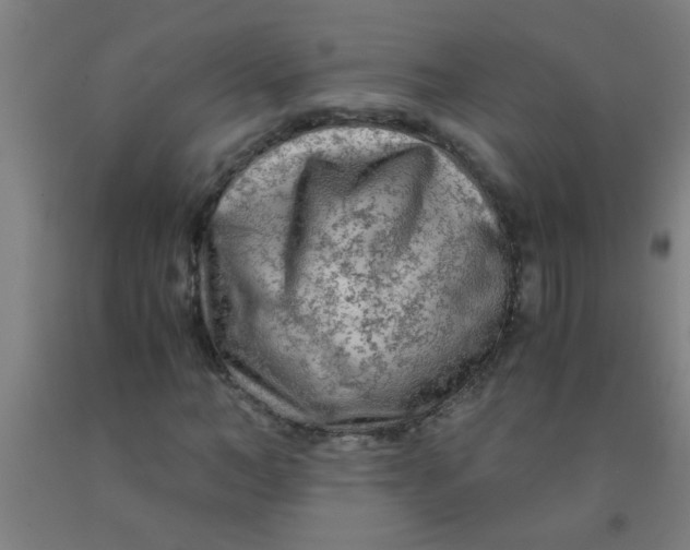 X0000092020966200709271546