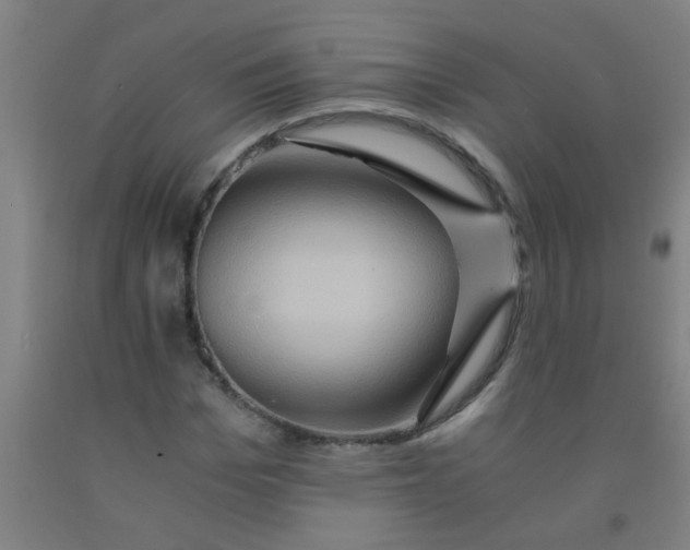 X0000092020969200709271546