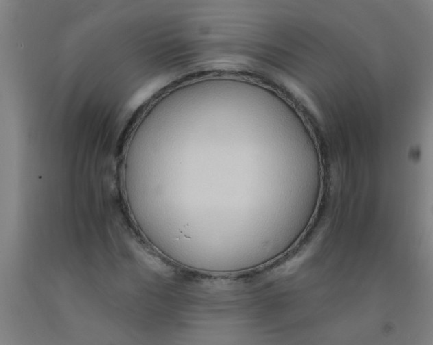 X0000092020970200709271546