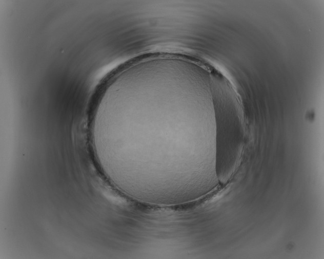 X0000092020971200709271546