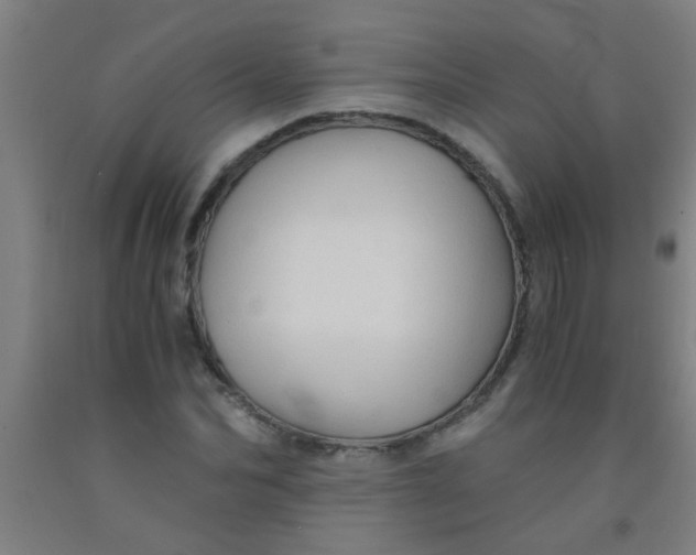 X0000092020974200709271546