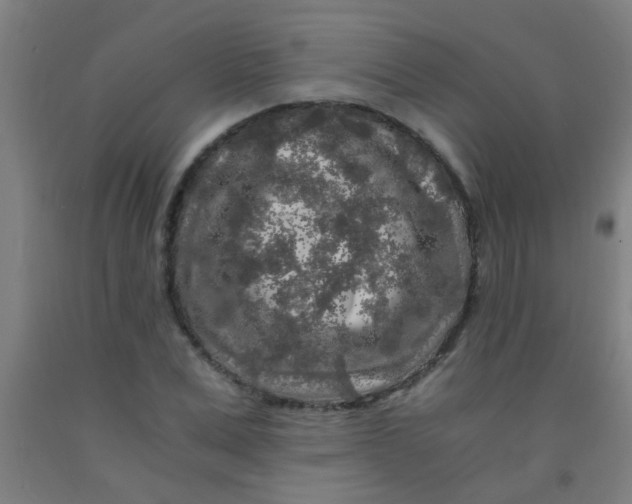 X0000092020975200709271546