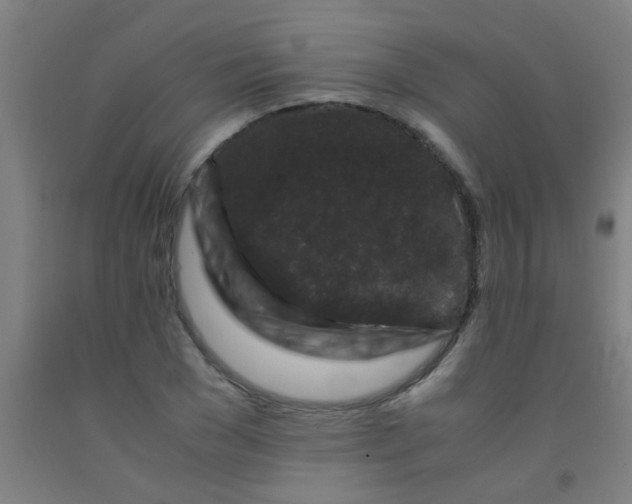 X0000092020977200709271546