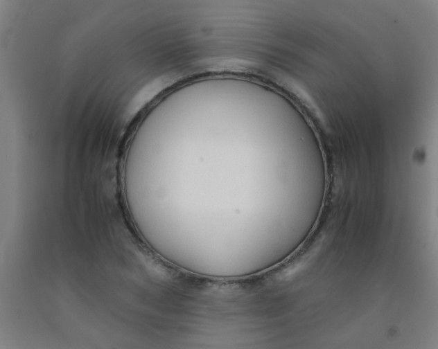 X0000092020978200709271546