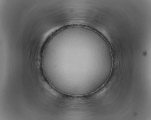 X0000092020979200709271546