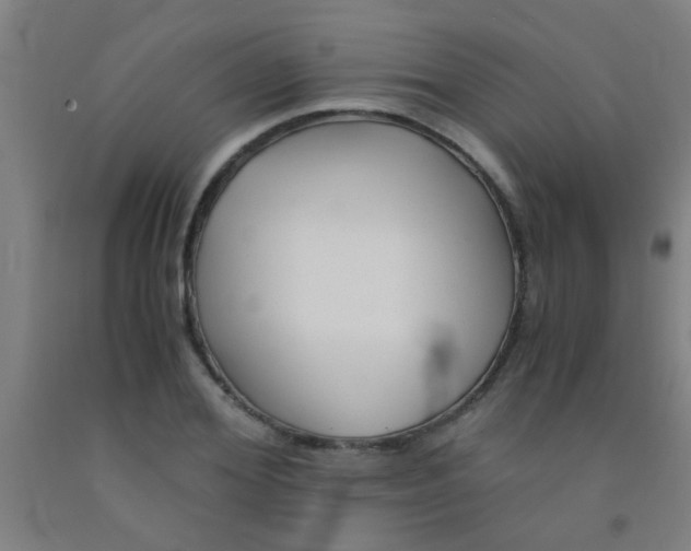 X0000092020980200709271546