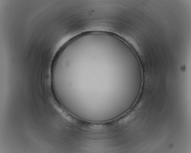 X0000092020982200709271546