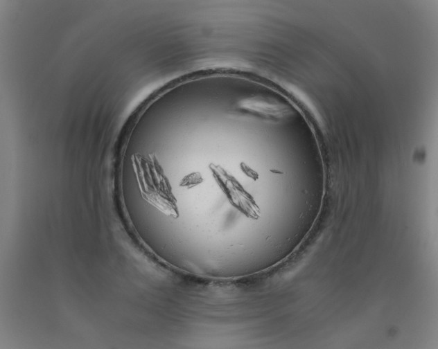 X0000092020983200709271546