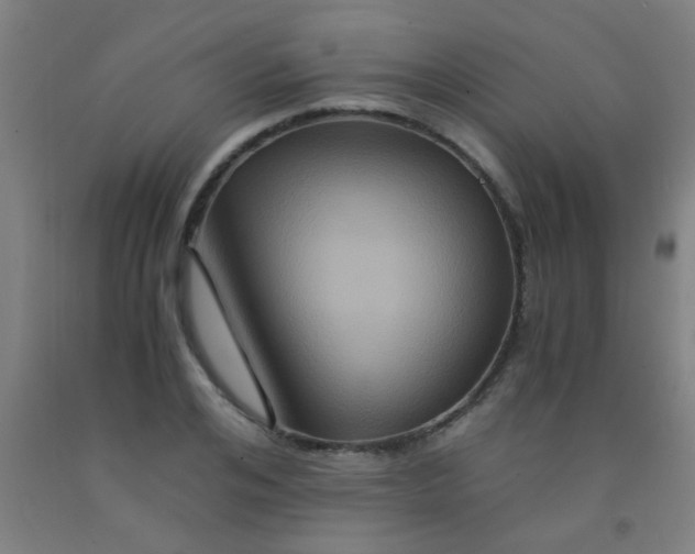 X0000092020984200709271546