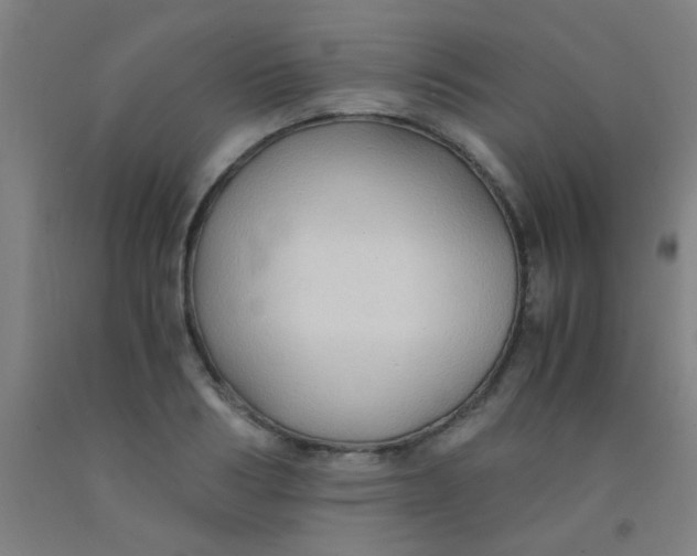 X0000092020986200709271545