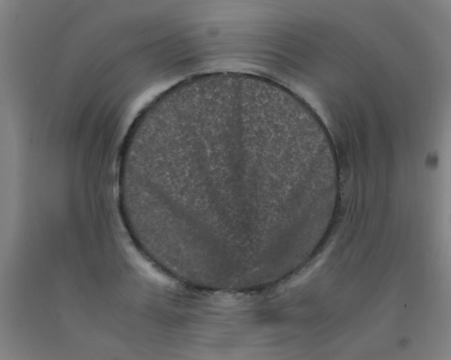 X0000092020987200709271545