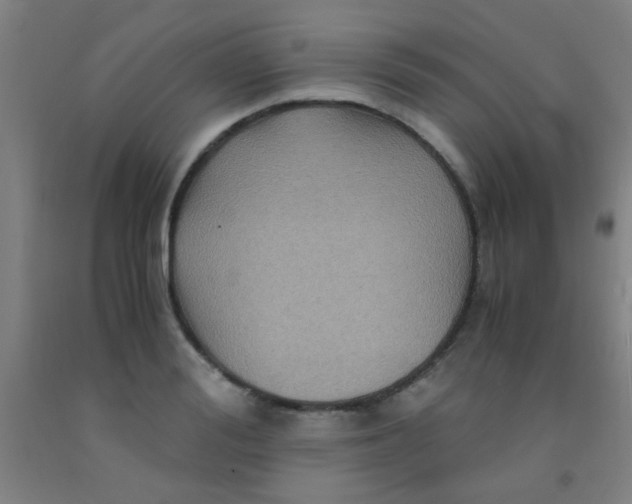 X0000092020988200709271545