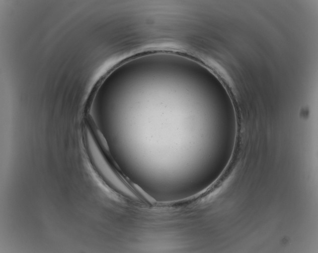 X0000092020989200709271545