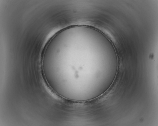 X0000092020990200709271545